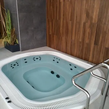 Z Wellness Polanki Park *